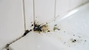 Czym uszczelnić szparę między ścianą a brodzikiem